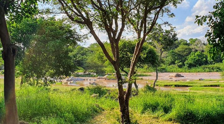 Hasekamp Hospitality