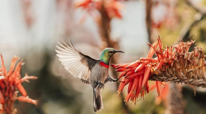 Hasekamp Hospitality