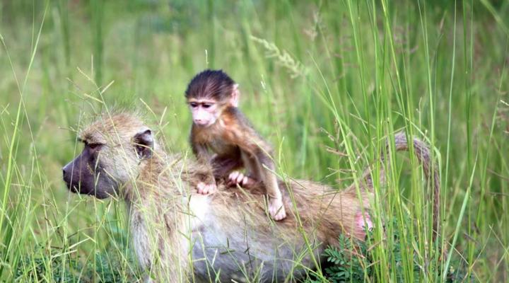 Hasekamp Hospitality