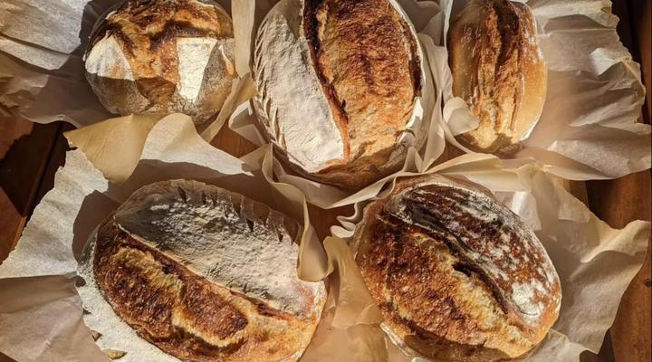 Hasekamp Hospitality