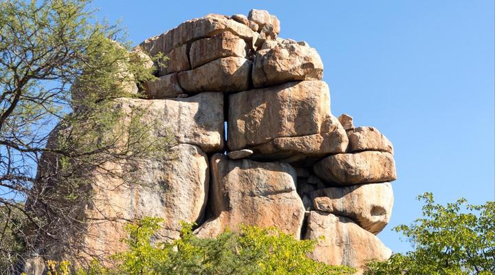 Gwango Tamarillo Estate