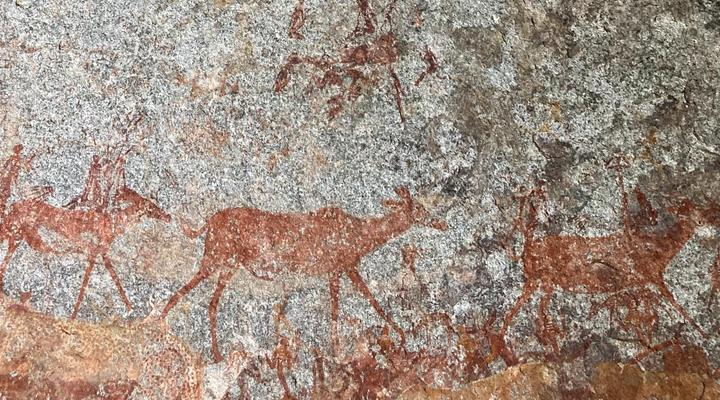 Gwango Tamarillo Estate