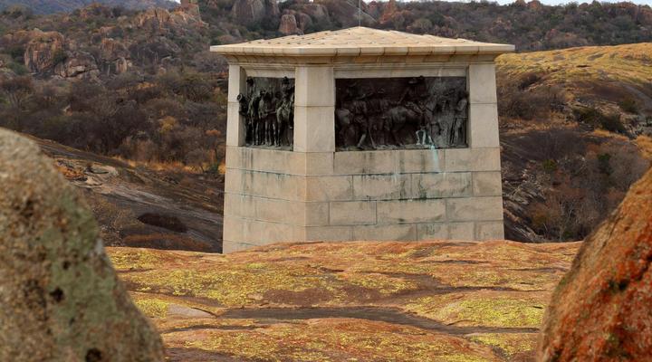 Gwango Tamarillo Estate