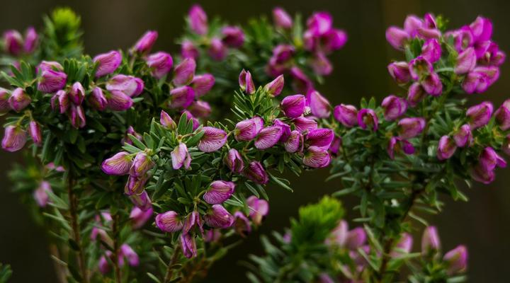 Swartklip Game Lodge