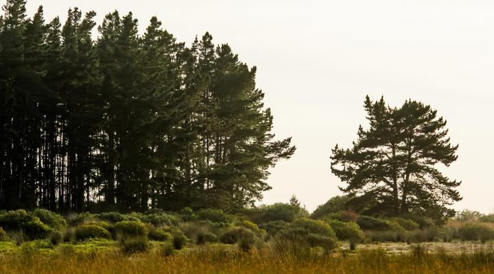 Swartklip Game Lodge