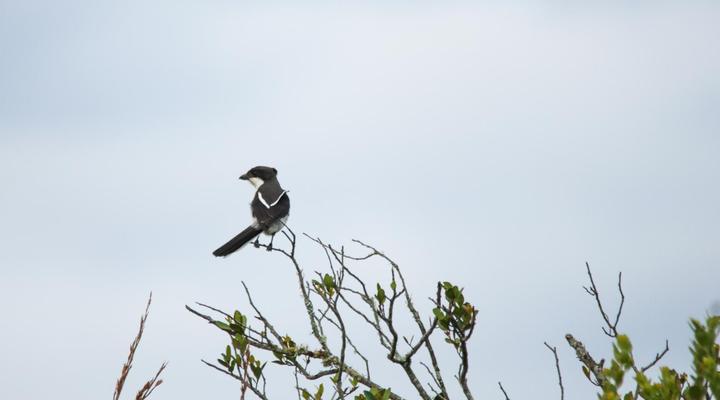 Swartklip Game Lodge