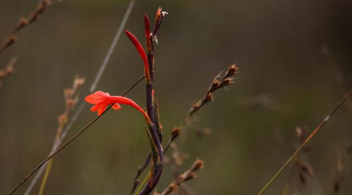 Swartklip Game Lodge