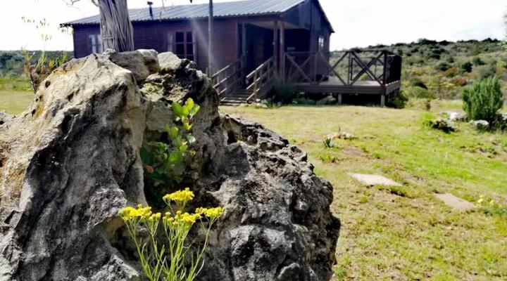 Honingbosch Lifestyle Farm