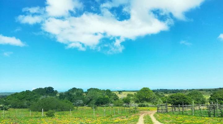 Honingbosch Lifestyle Farm