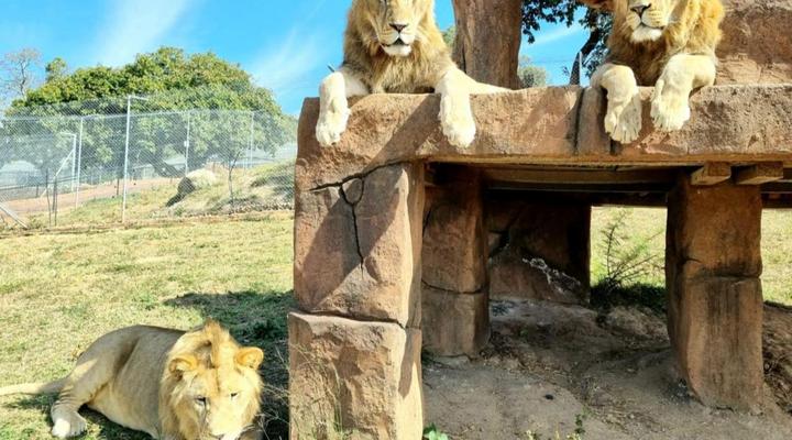 Zabini Lodge Rooms With Private Pools