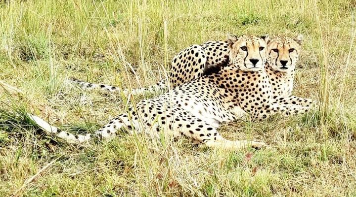 Zabini Lodge Rooms With Private Pools