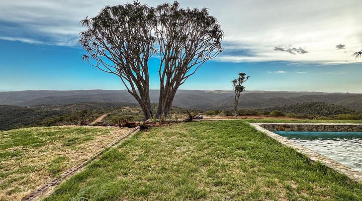 Forest View Luxury Farm Stay