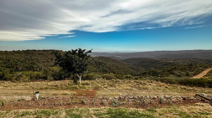 Forest View Luxury Farm Stay