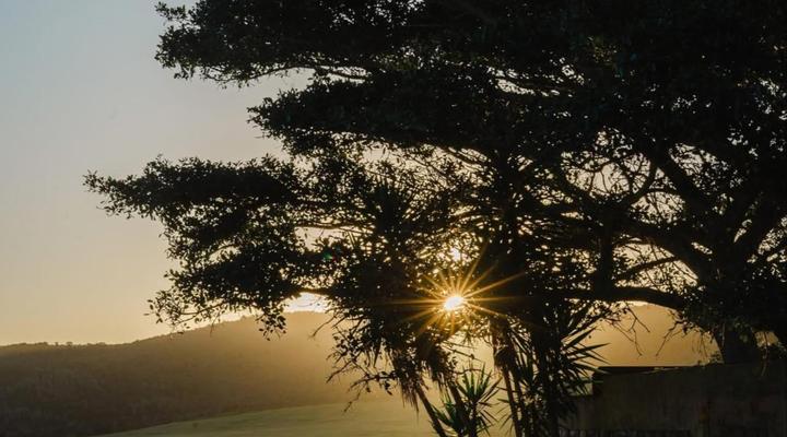 Forest View Luxury Farm Stay