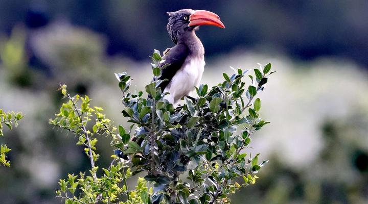 Forest View Luxury Farm Stay