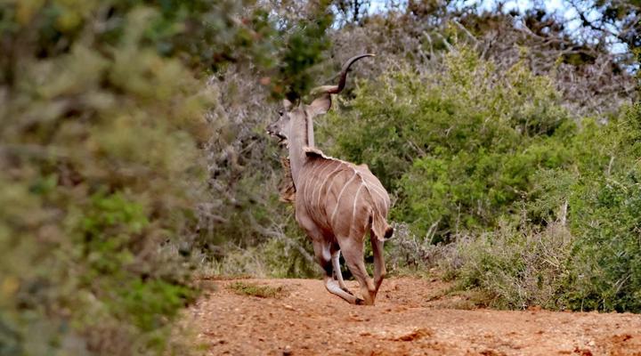 Forest View Luxury Farm Stay