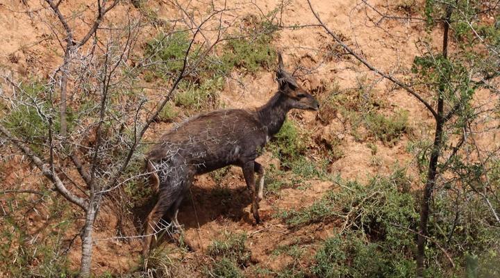 Forest View Luxury Farm Stay