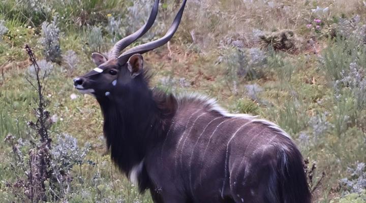 Forest View Luxury Farm Stay