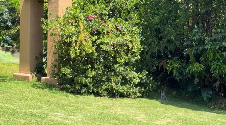 San Lameer Villa 10438 – 4 Bedroom Superior