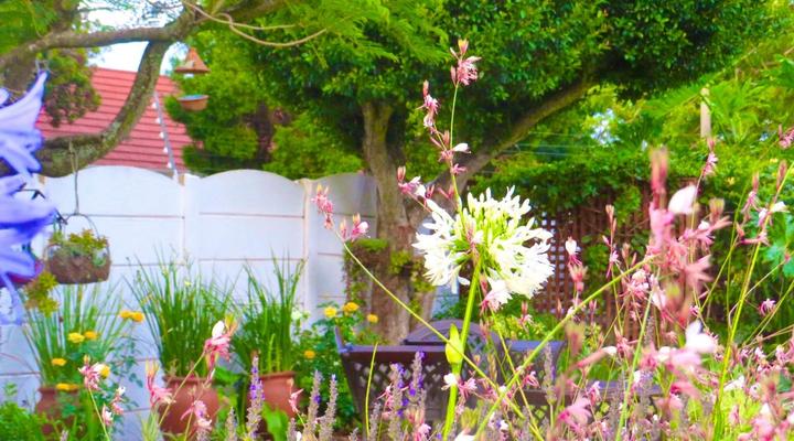 Whistlewood House and Garden Cottage