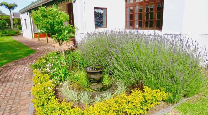 Whistlewood House and Garden Cottage