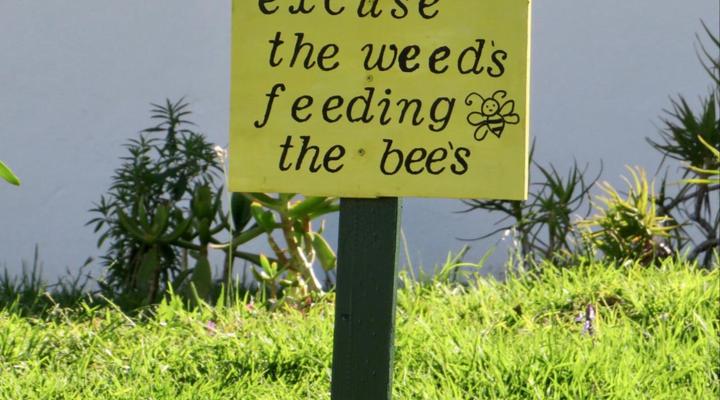 Whistlewood House and Garden Cottage