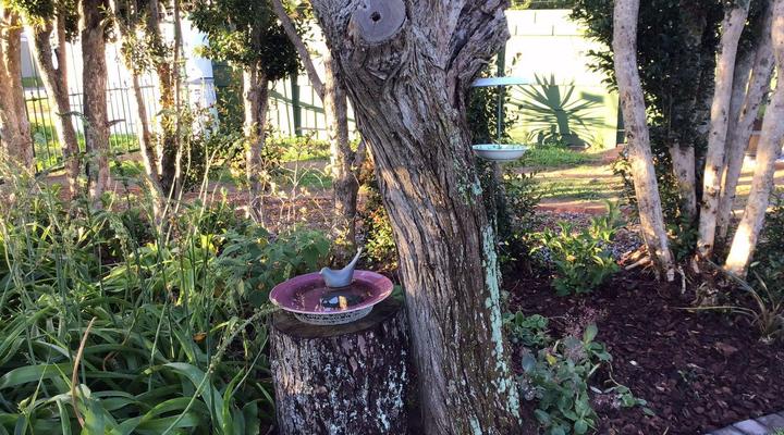 Whistlewood House and Garden Cottage