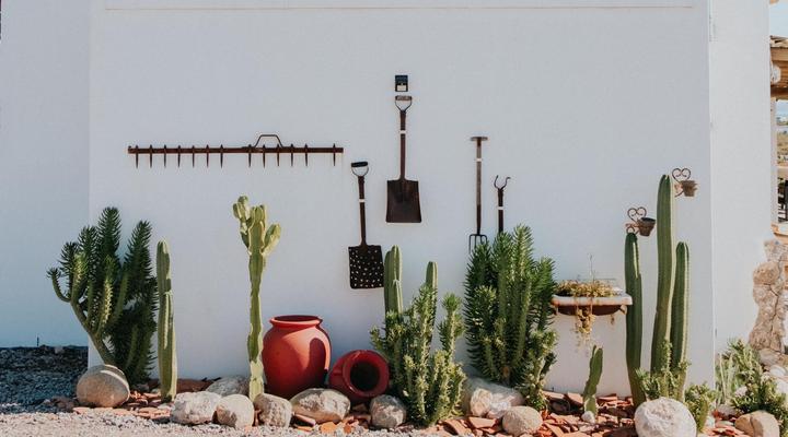 Dagdromer Holiday Home