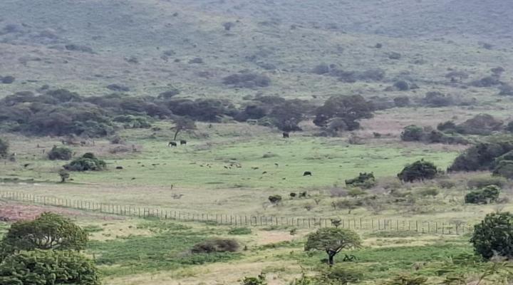 Sunset Safari Camp at Hluhluwe Game Park