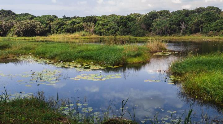 Imvubu Lodge Richards Bay