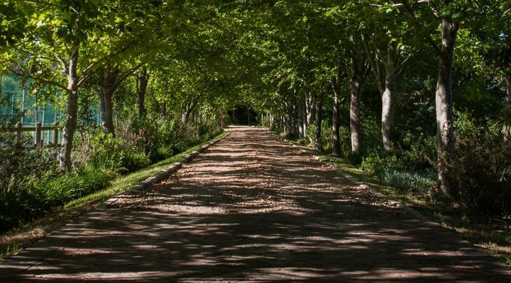 Sanddrif Stellenbosch Guest Farm