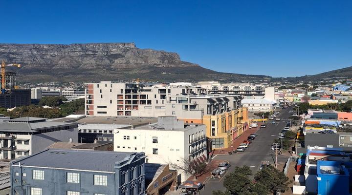 Urban Elephant The Rose