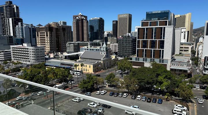 Urban Elephant The Rose