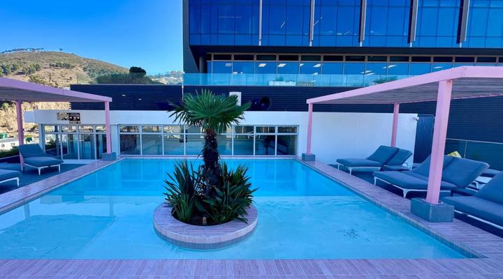 Urban Elephant The Rose