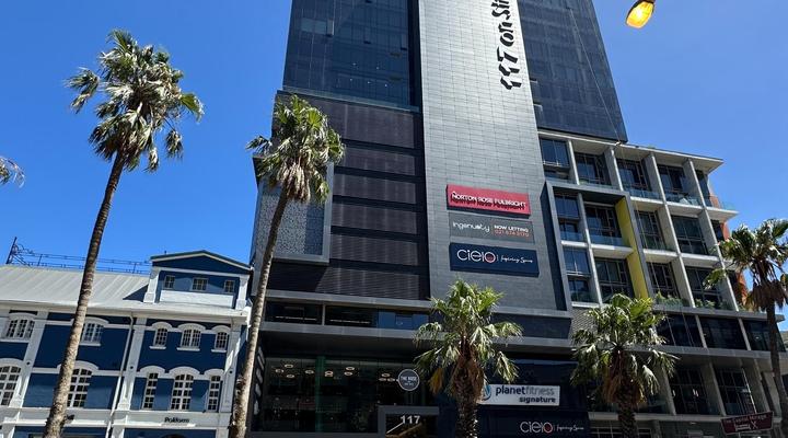 Urban Elephant The Rose