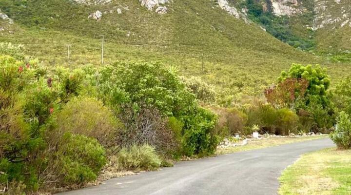 Mountain View Studio Voelklip