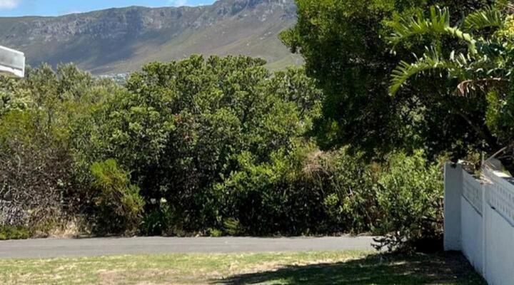 Mountain View Studio Voelklip