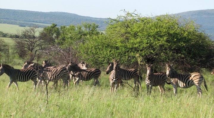 Rhenosterpoort Water Retreat