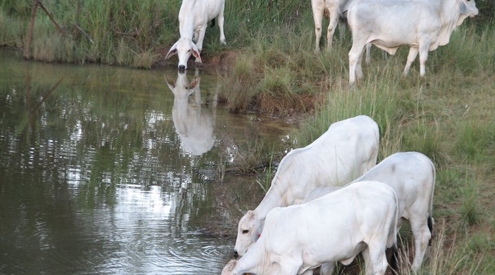 Rhenosterpoort Water Retreat