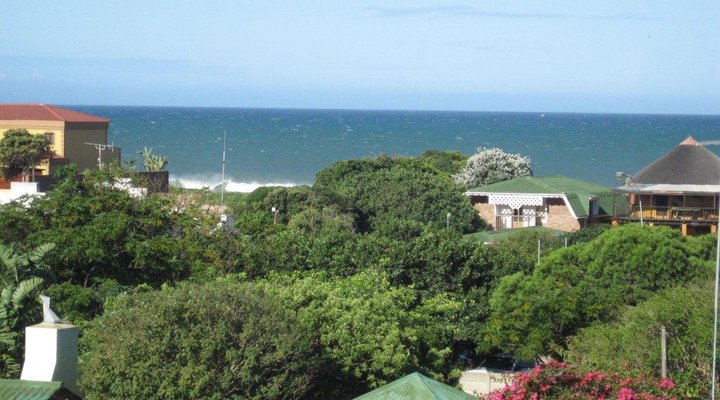 Four on Oribi
