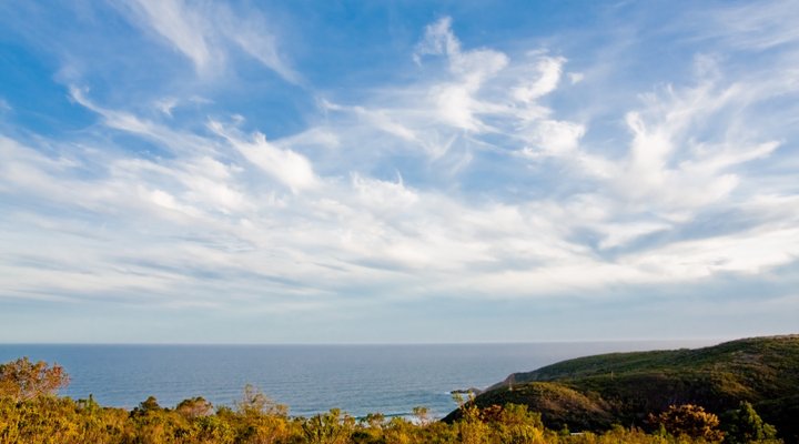 Down to Earth Guesthouse