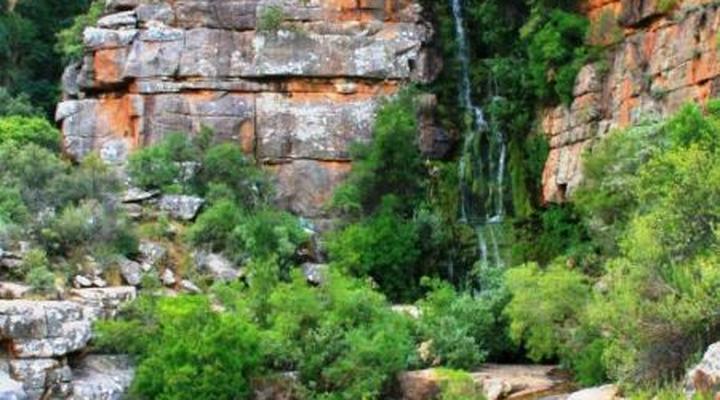 Gecko Creek Wilderness Lodge