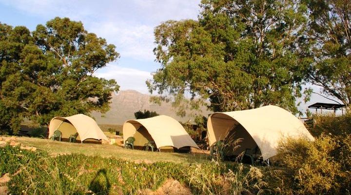 Gecko Creek Wilderness Lodge