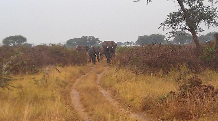 Bright Island Uganda