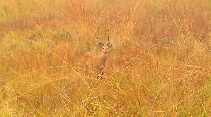 Bright Island Uganda
