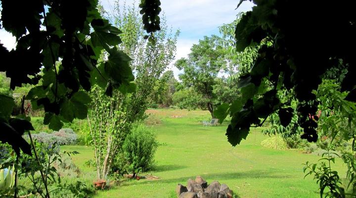 Bluegum Cottage @ The Garlic House