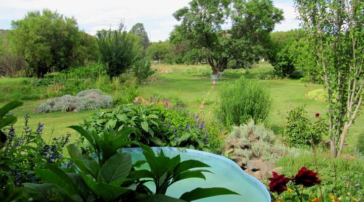 Bluegum Cottage @ The Garlic House