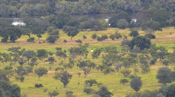 Mu-fungata Safari Lodge