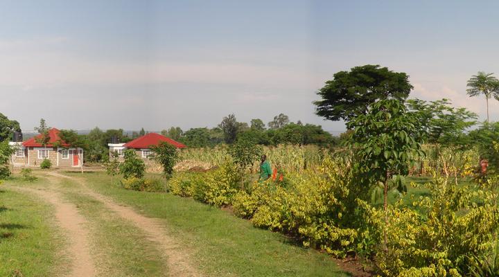 Hexagon Mbili Farm Lodge