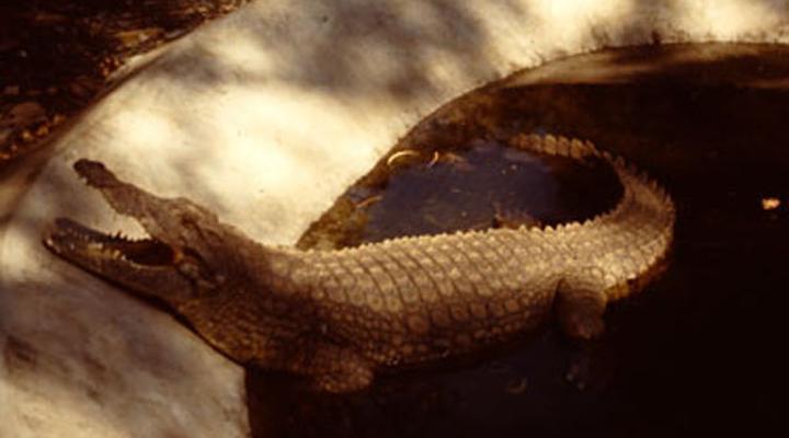 Rossmina Bed and Breakfast